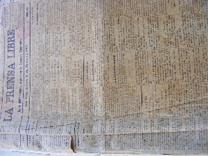 biblioteca 234 copy.jpg